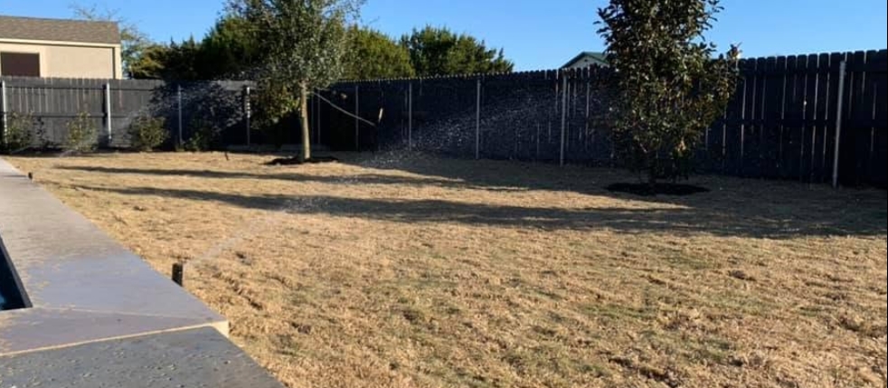 Two sprinkler heads throwing spray arcs across a back yard planted with young trees, inside a board privacy fence